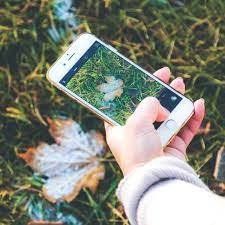 “Person capturing a leaf photo on grass using a smartphone, showing mobile photography concept.”